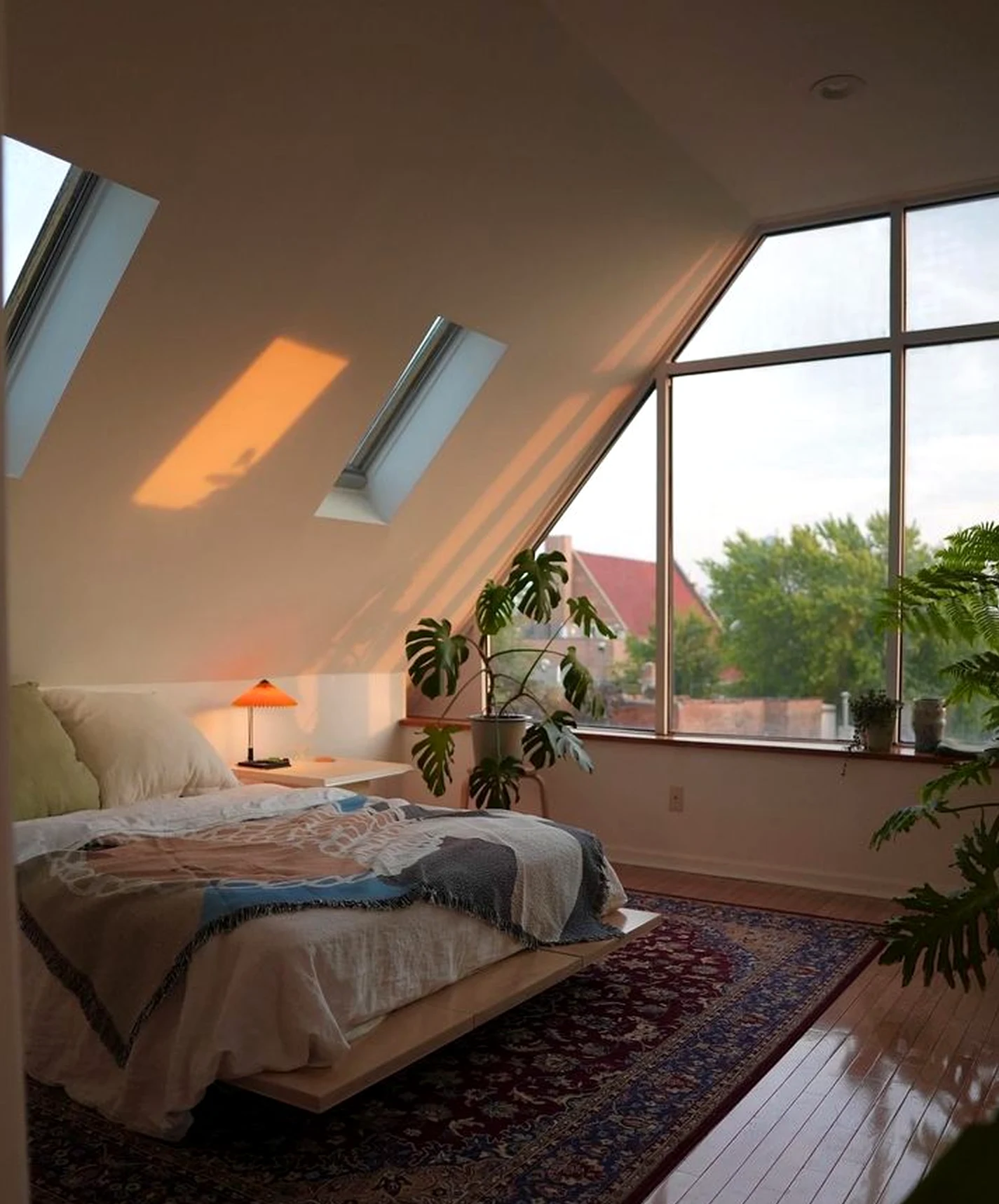 Leafy greenhouse corner brings character to the corner, creating a mood that feels open and lived-in.