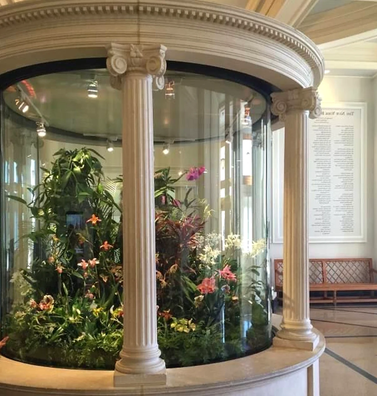 Bright arched doorway supports the backdrop through freshness, leaving the space feeling quietly finished.