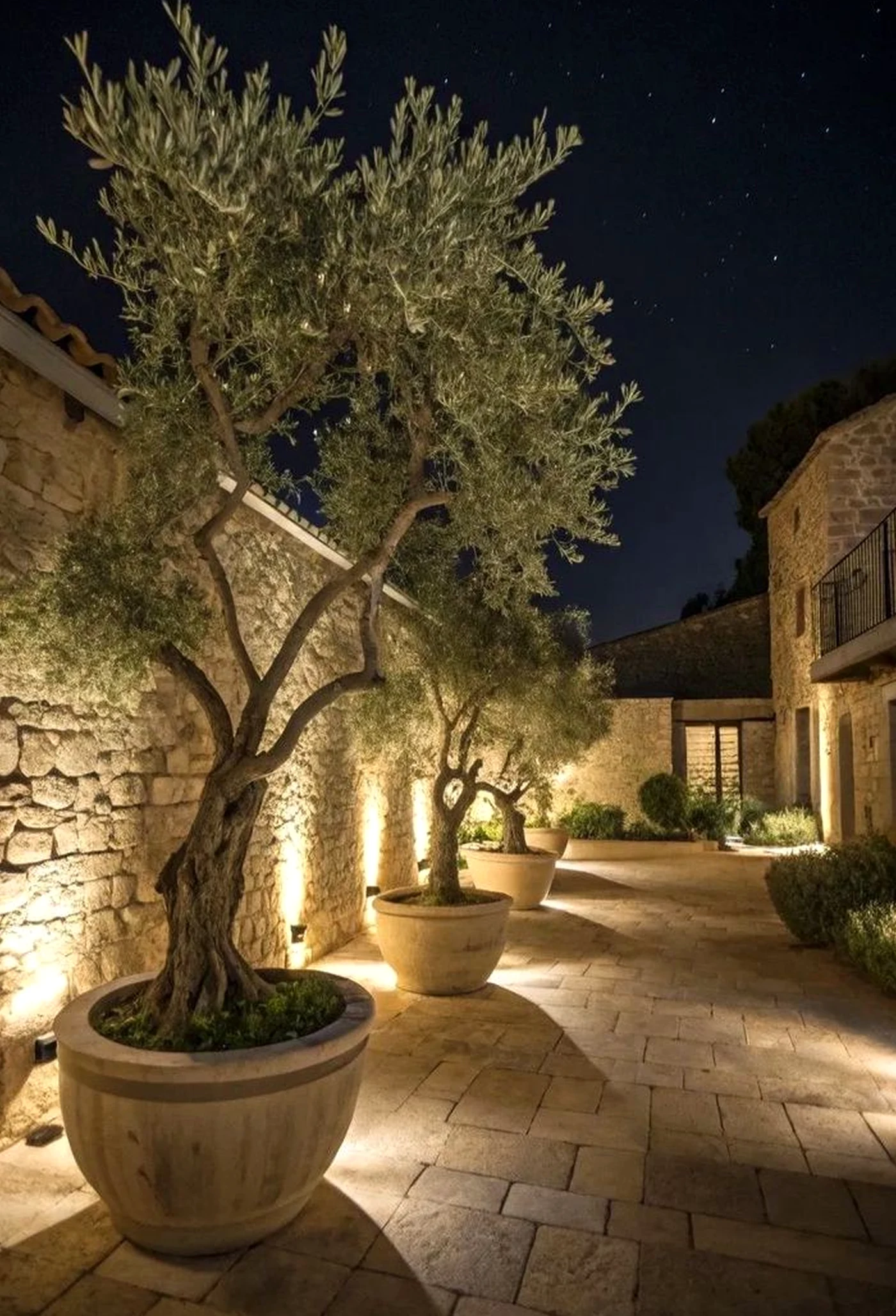 Calm sunlit room introduces texture into the garden edge, keeping the atmosphere simple yet expressive.