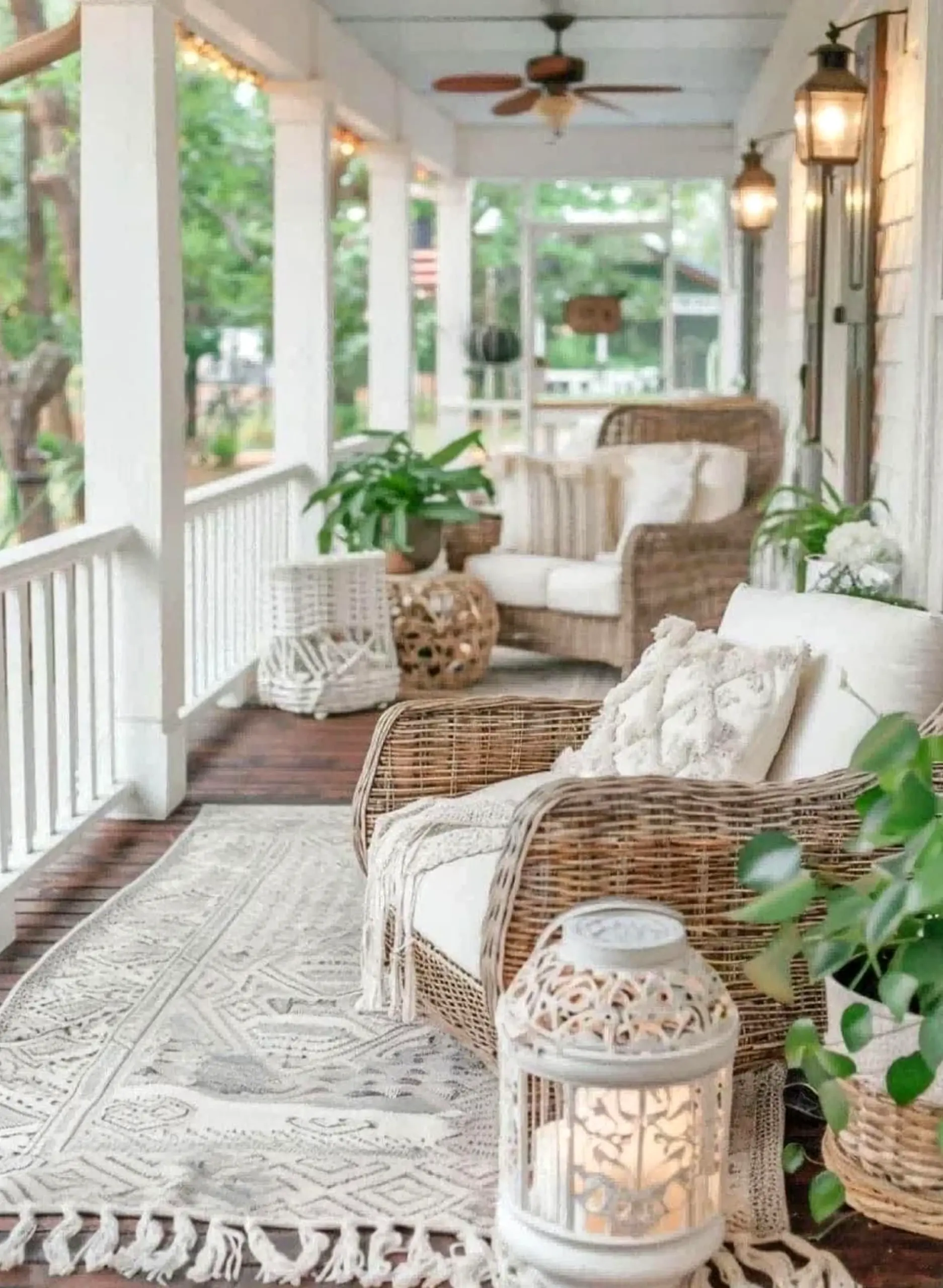 Earthy greenhouse corner frames the wall with softness, making the scene feel visually grounded.