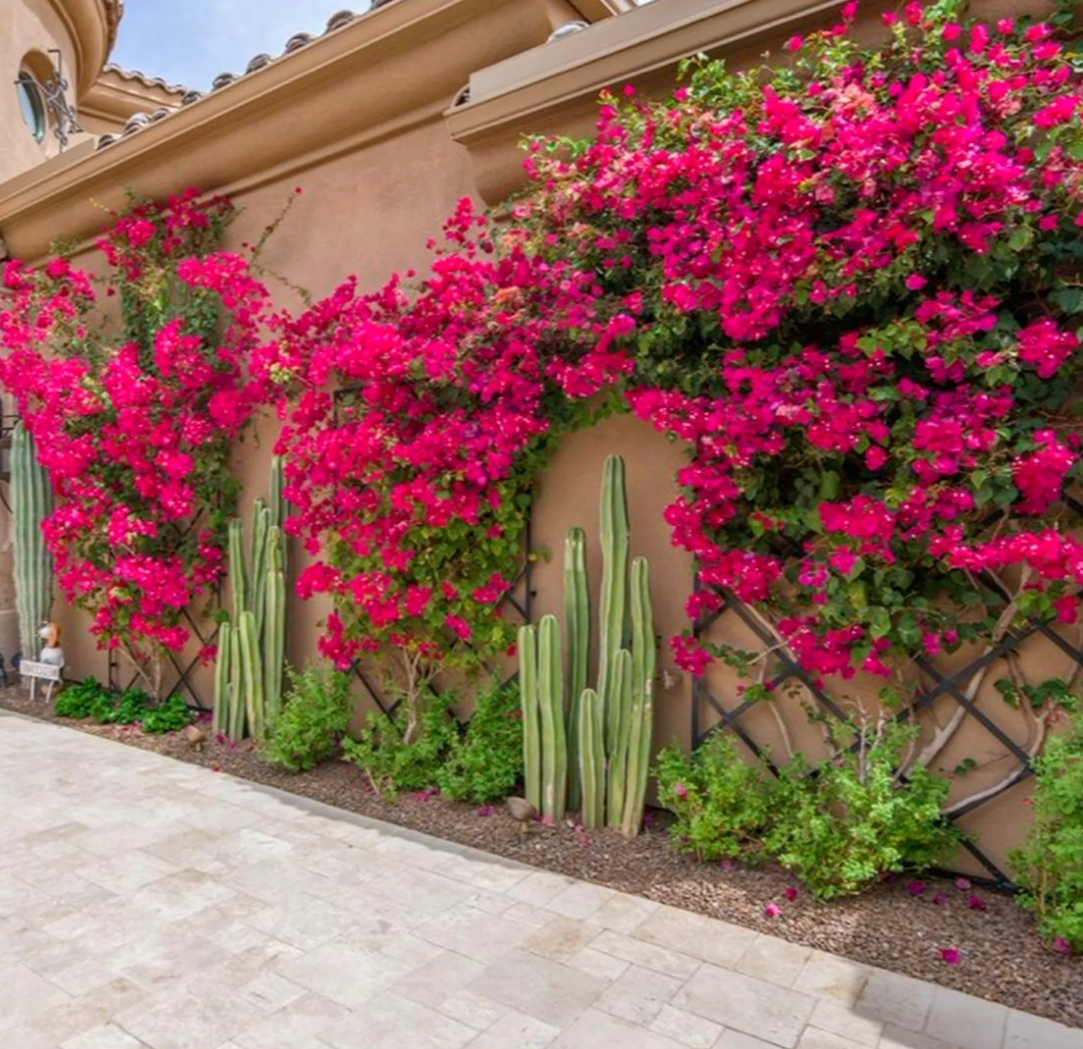 Refined courtyard view frames the view with clarity, making the scene feel visually grounded.
